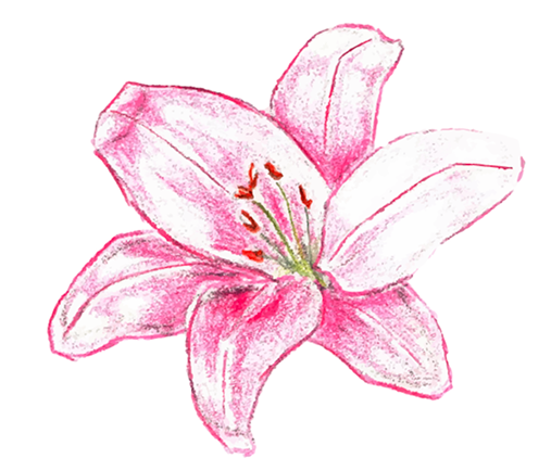 Jazzfestival Saalfelden poster